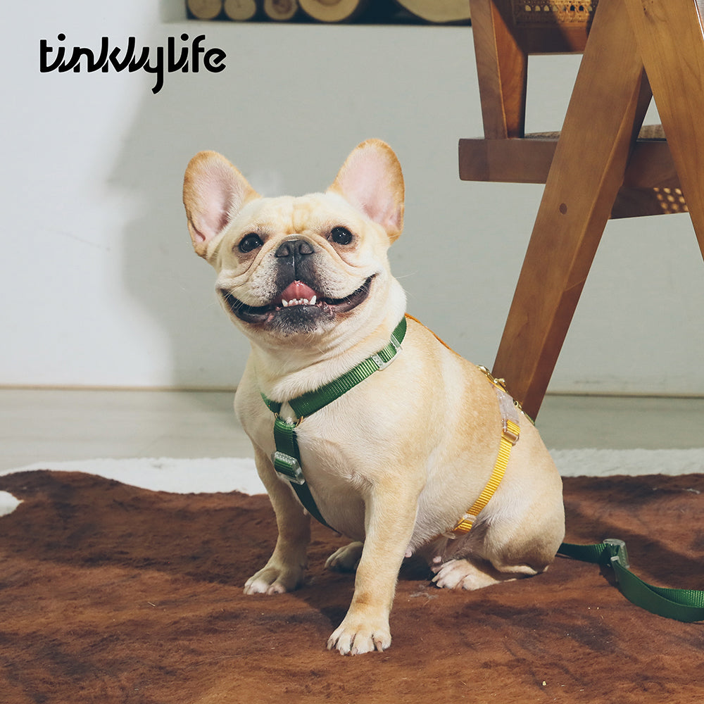 Benefits of Using Anti Pulling Harness - A Complete Guide For You