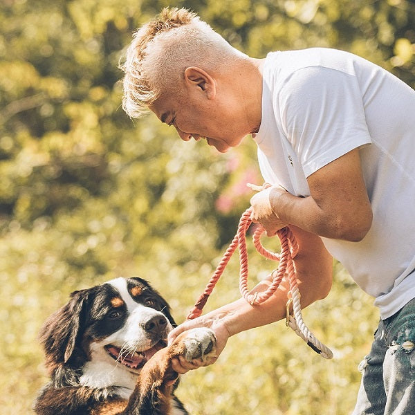 Reasons to Choose Pet Supplies asa Startup Business Product