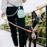 Benefits of Using a Dog Collar with Cotton Rope Leash Set