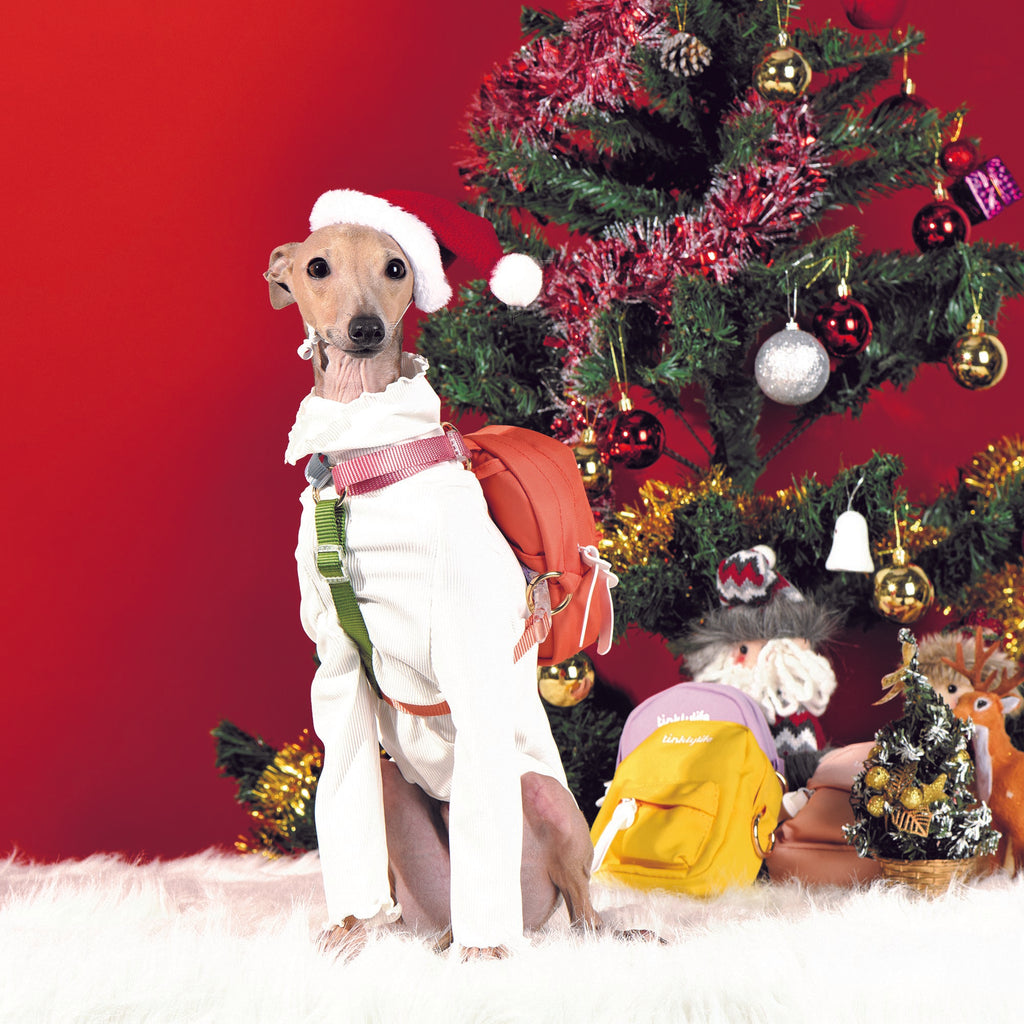 Everything You Need To Know About Holiday Gift Kit
