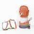 Rainbow Love Expression Kit | Harness Walk Kit | Harness Leash Set