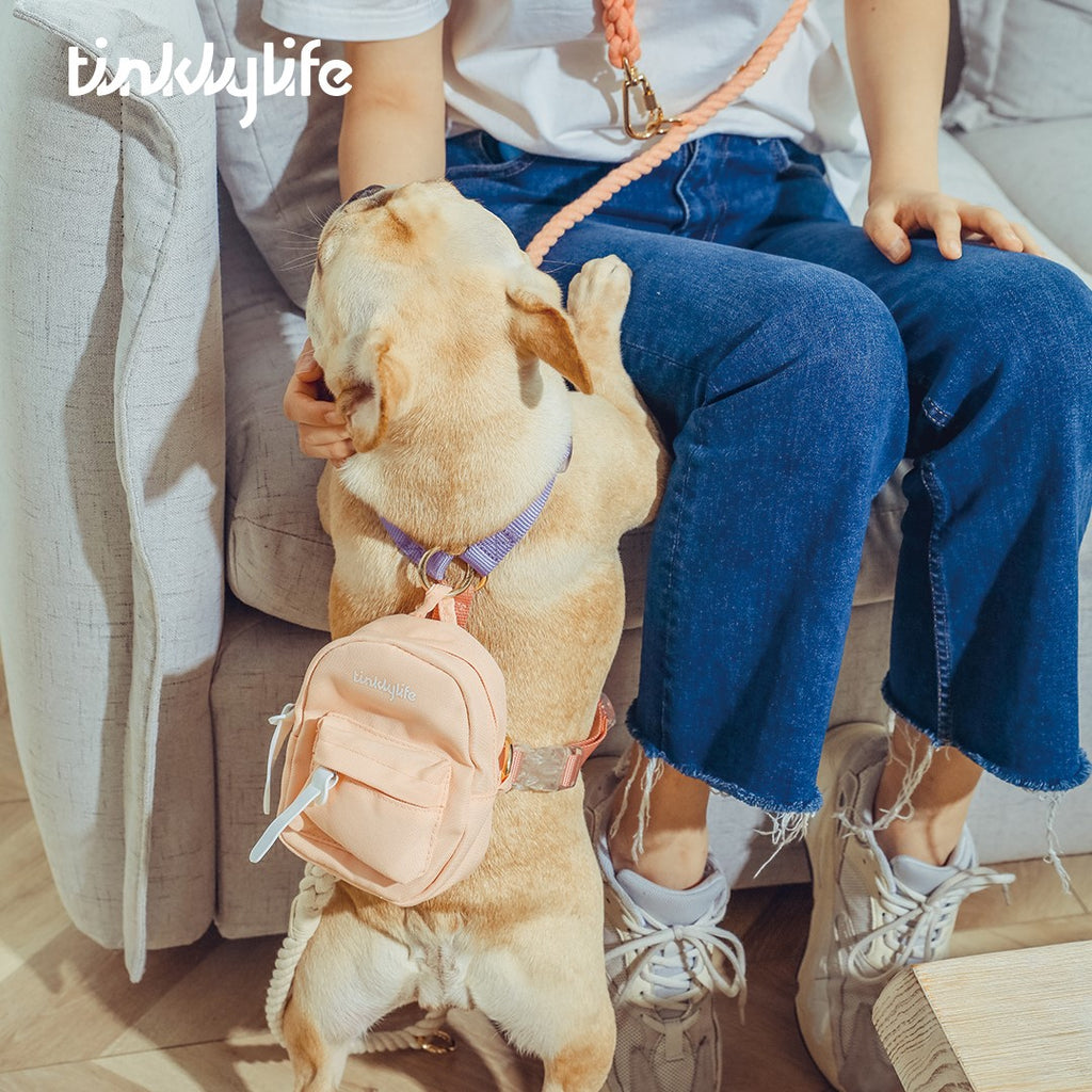 Seven Reasons to Fall in Love with DOG BACKPACK