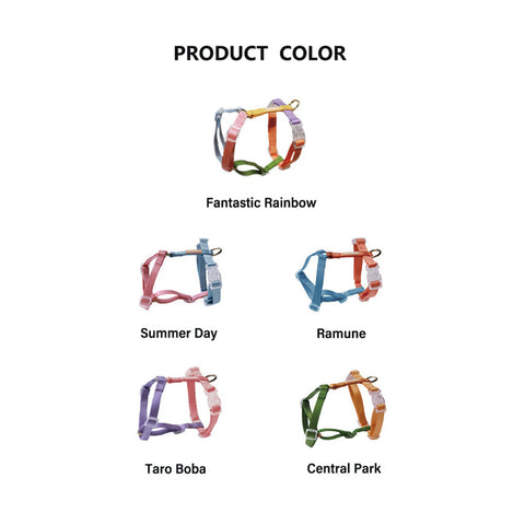Rainbow Love Expression Kit | Harness Walk Kit | Harness Leash Set