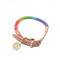 Pretty rainbow dog collar