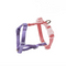 rainbow dog harness for pet owners