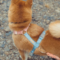 dog harness leash and collar set