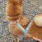 dog harness leash and collar set