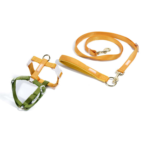 small dog harness and leash set