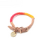 quirky rainbow dog collar