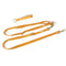 modern dog leash