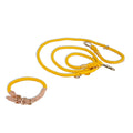 dog collar leash set