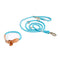 dog collar and leash set